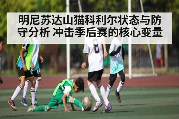 明尼苏达山猫科利尔状态与防守分析 冲击季后赛的核心变量